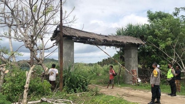 Penebangan pohon di sekitar Sirkuit Mandalika-1637144953