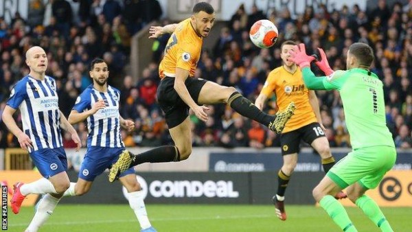 Laga Brighton vs Wolves-1639547726