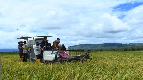 Pemanfaatan teknologi untuk memaksimalkan hasil pertanian-1640241022