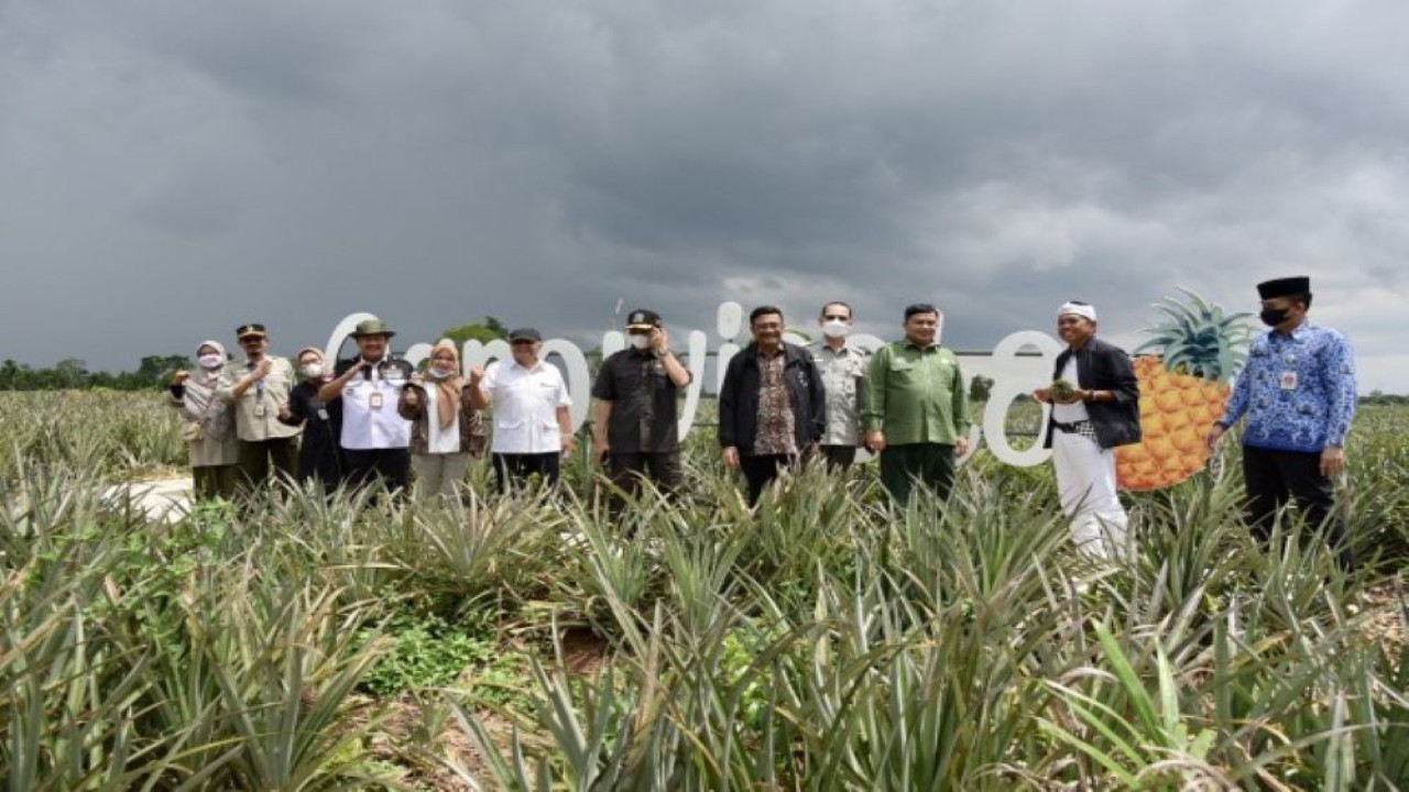 Wakil Ketua Komisi IV DPR RI Dedi Mulyadi saat memimpin Tim Kunker Reses Komisi IV DPR RI meninjau agrowisata nanas di Kecamatan Sei Gelam, Muaro Jambi, Jambi, Senin (18/4/2022). (Tiara/Man)