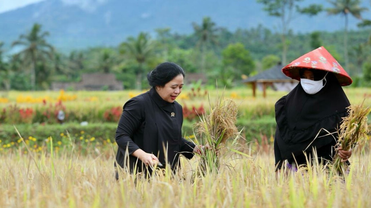 Ketua DPR RI Puan Maharani.