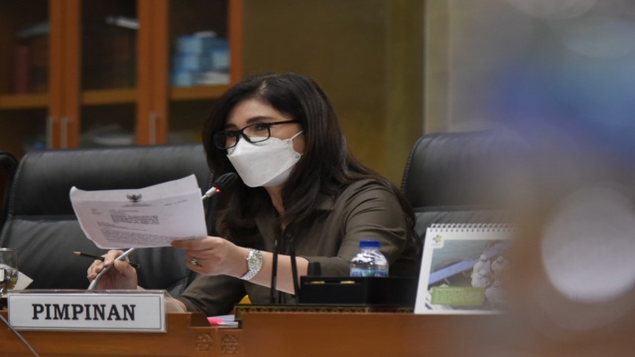 Ketua Komisi IX DPR RI Felly Estelita Runtuwene . Foto: Dok DPR