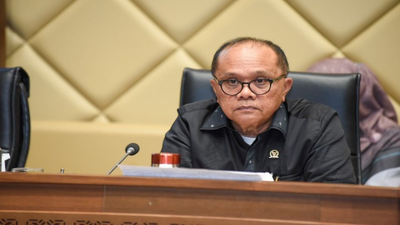 Wakil Ketua Komisi II DPR RI Junimart Girsang. Foto: Dok DPR