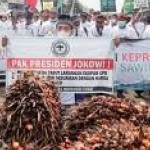 Ilustrasi demo petani sawit memprotes larangan ekspor CPO dan bahan baku minyak goreng beberapa waktu lalu-1657005251