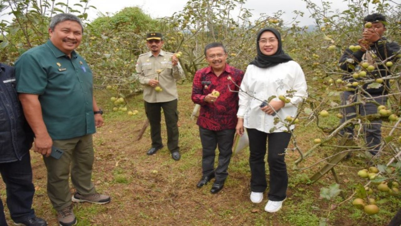 Wakil Ketua Komisi IV DPR RI Anggia Ermarini saat memimpin Kunjungan Kerja Spesifik Komisi IV DPR RI ke lokasi Wisata Petik Apel Mandiri, di Tulungrejo, Kecamatan Bumiaji, Kota Batu, Jawa Timur, Kamis (15/9/2022), untuk melihat langsung produktivitas kebun apel di Kota Batu. (Singgih/Man)