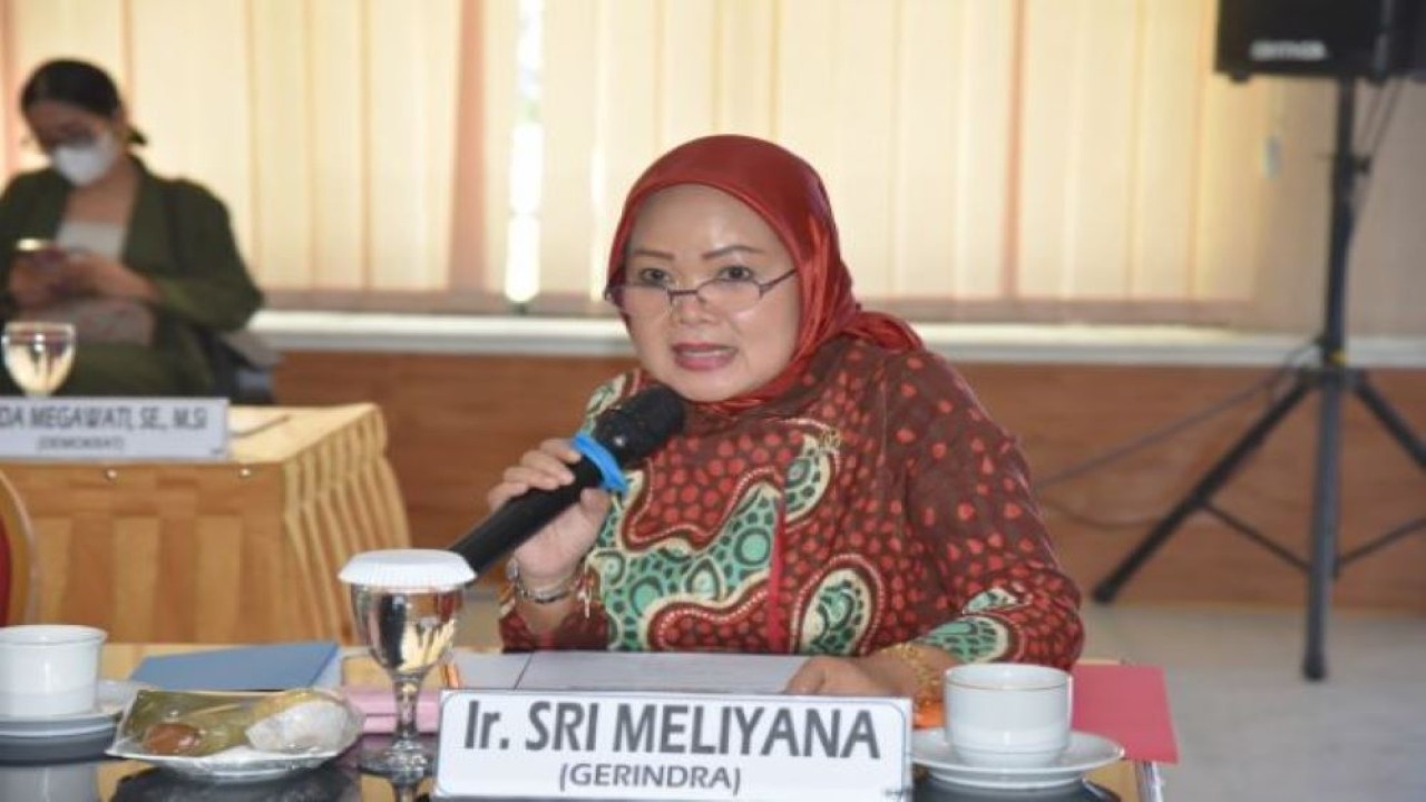 Anggota Komisi IX DPR RI Sri Meliyana saat mengikuti Kunjungan Kerja Spesifik Komisi IX DPR ke Kantor Dinas Kesehatan Provinsi NTB, di Mataram, Jumat (2/9/2022). (Icha/nvl)