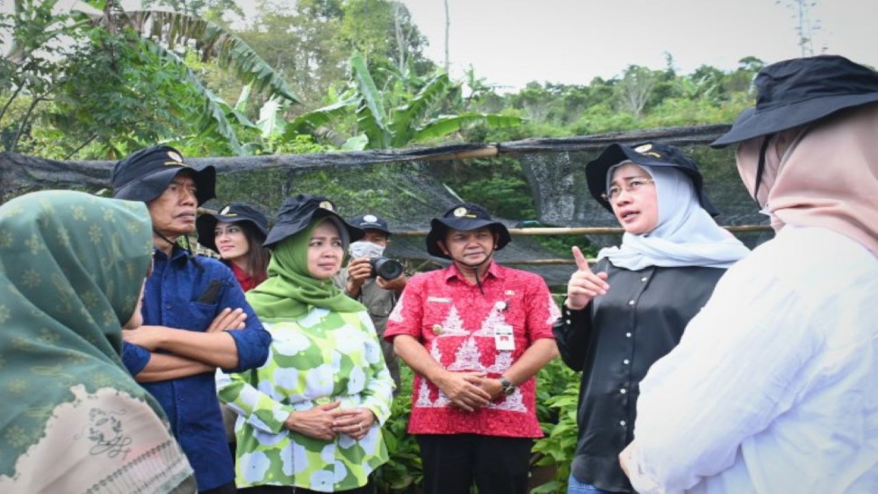 Wakil Ketua Komisi IV DPR RI Anggia Erma Rini saat giat penanaman pohon dan berdiskusi dalam Kunspek Komisi IV DPR RI di Desa Candi, Kecamatan Bandungan, Kabupaten Semarang, Jawa Tengah, Rabu (28/9/2022). (Aisyah/nvl)