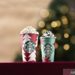 Minuman Starbucks-1667132778