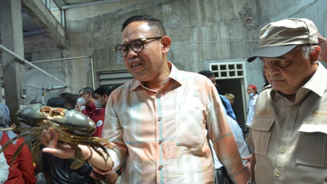 Anggota Komisi IV DPR RI Andi Akmal saat mengunjungi dan meninjau budidaya kepiting di Surabaya. Foto: Nadhen/nr