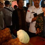 Anggota Komisi IV DPR RI Luluk Nur Hamidah-1669641843