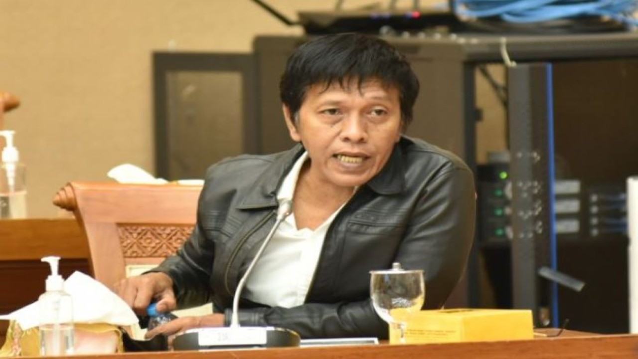 Anggota Komisi VII DPR RI Adian Napitupulu. (Oji/nr)