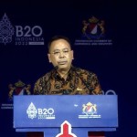 Ketua Dewan Direktur Indonesia Authority Investment-1668422649