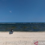 Pantai-1669020811