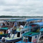 Pengunjung wisata TN Tanjung Puting didominasi wisatawan mancanegara-1669099663