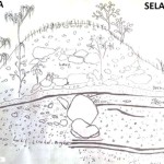 Sketsa-1668577329