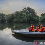 Taman Wisata Alam Mangrove Angke Kapuk-1667467295