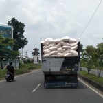 Truk pengangkut pupuk bersubsidi saat melintas di jalan raya Praya Lombok Tengah, Nusa Tenggara Barat, Senin (21/11/2022) (ANTARA/Akhyar)-1669014205