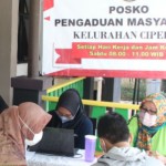 Cipedak-1671111316