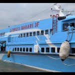 kapal-1672042637