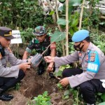 lombok-1670040439