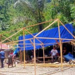 MDMC-1670310940
