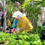 Pemkot Mataram canangkan kampung tanggap inflasi-1671440689