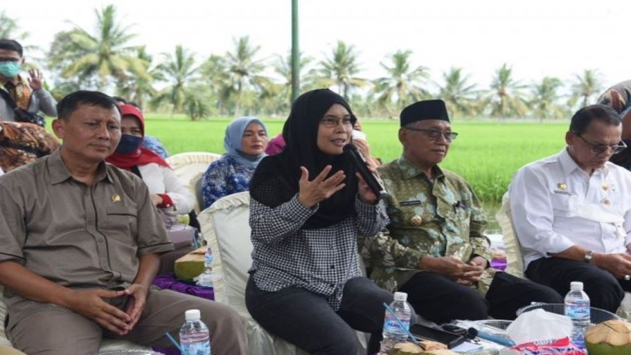 Anggota Komisi IV DPR RI Riezky Aprilia saat dialog dengan kelompok tani di Desa TalangTalang sari Kecamatan Tanjung Lago Kabupaten Musi Banyu asin, Sumsel, Jumat (16/12/2022). (Afr/Pdt)