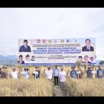 Rachmat Gobel-1674204009