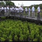 WRI Indonesia ajak masyarakat memitigasi krisis iklim-1681455054