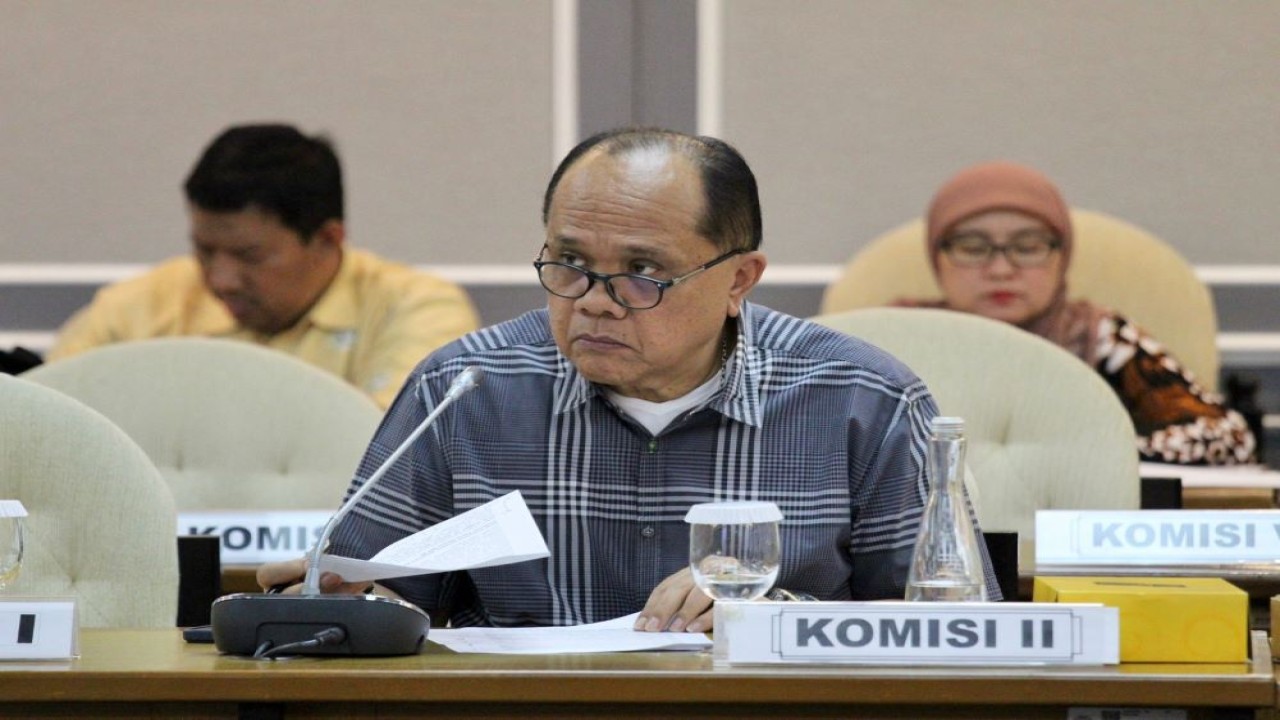 Wakil Ketua Komisi II DPR RI Junimart Girsang. (Istimewa)