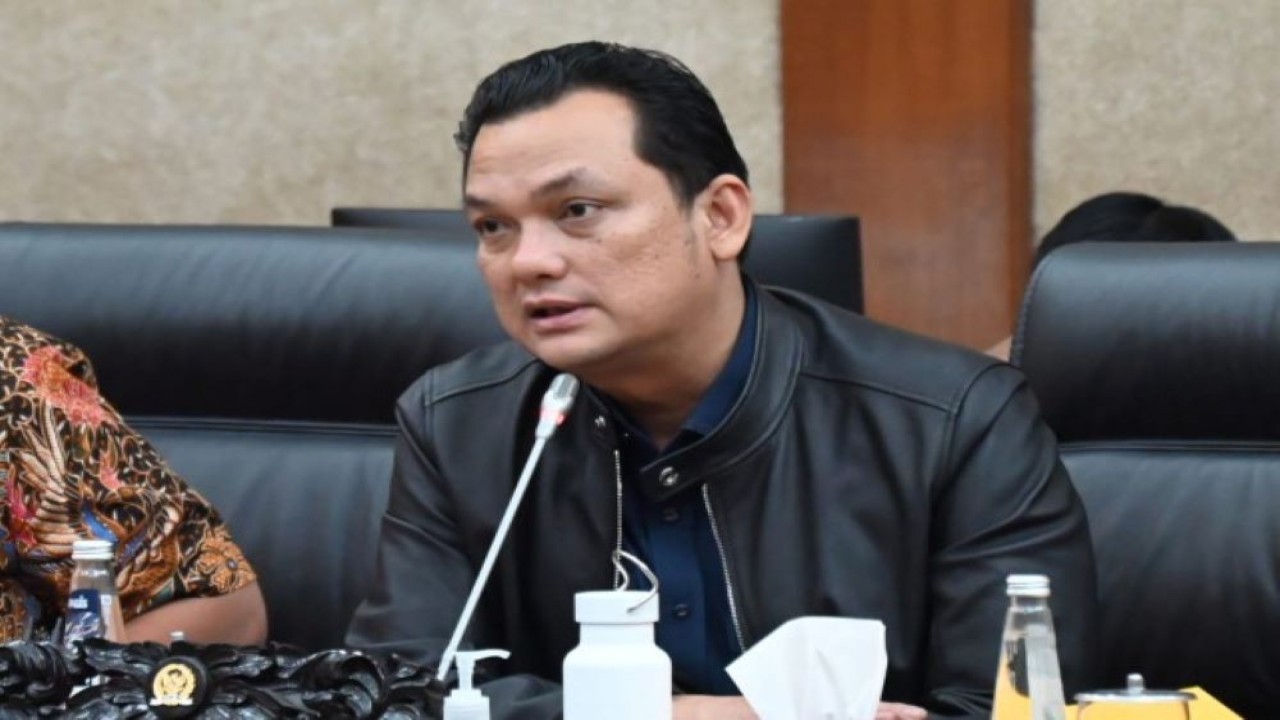 Wakil Ketua Komisi VI DPR RI Martin Manurung/ist