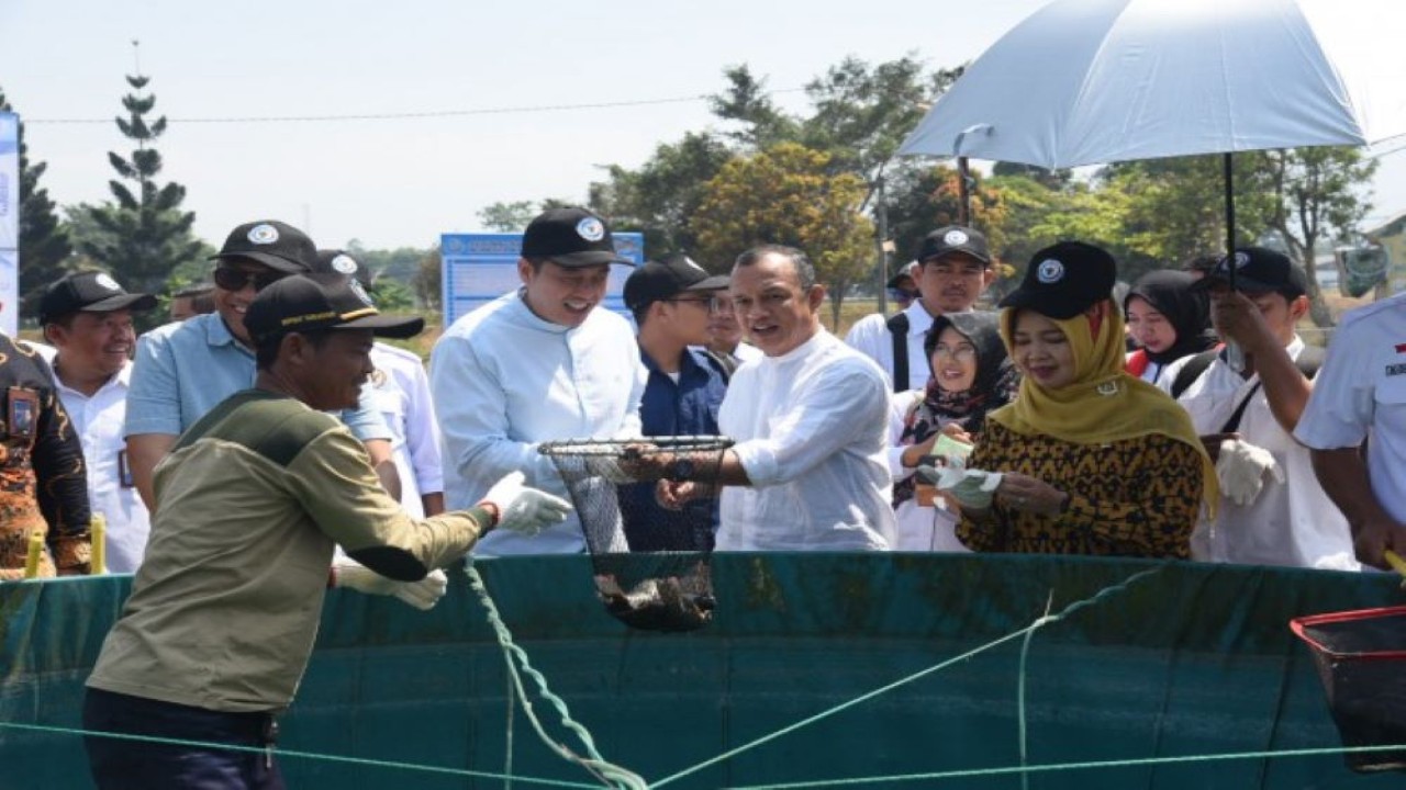 Wakil Ketua Komisi IV DPR RI Budhy Setiawan saat meninjau balai besar perikanan air tawar dalam rangka Kunjungan Kerja Spesifik komisi IV DPR RI ke Sukabumi, Provinsi Jawa Barat, Jumat (15/9/2023). (Arief/nr)