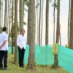 Presiden Jokowi ajak para menteri nikmati pemandangan pagi di IKN-1695353098