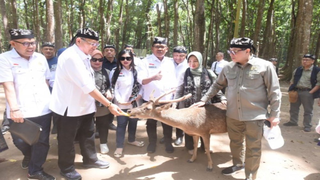 Ketua Komisi IV DPR RI Sudin beserta rombongan saat meninjau kawasan konservasi TN Alas Purwo di Banyuwangi, Jawa Timur, Jumat (1/9/2023). (Jaka/nr)