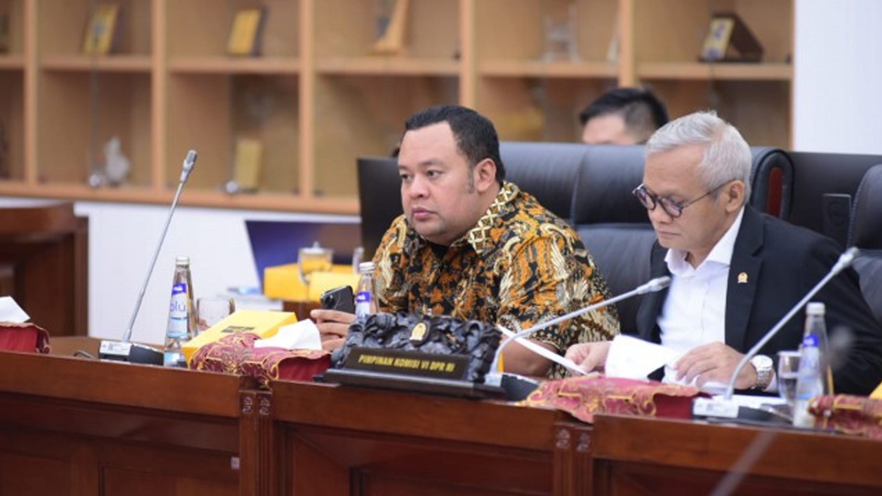 Wakil Ketua Komisi VI DPR RI Mohamad Hekal. Foto: Oji/nr