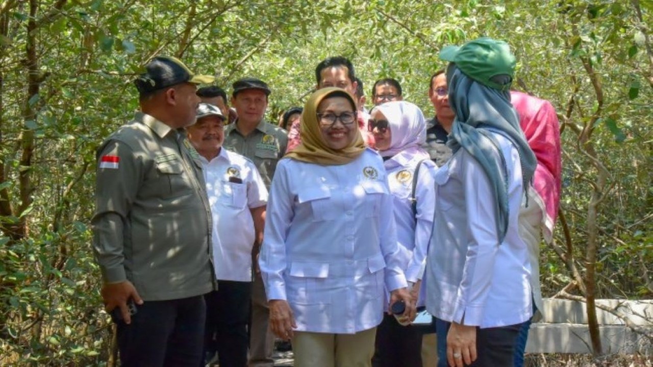 Anggota Komisi IV DPR RI Endang Setyawati Thohari saat meninjau Kebun Raya Mangrove Surabaya dalam rangkaian agenda Kunjungan Kerja Reses Komisi IV DPR di Surabaya, Sabtu (21/10/2023). (Safitri/nr)