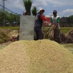 petani-1696824819