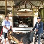 Unibos Makassar berdayakan warga Enrekang olah limbah kulit sapi-1697097280