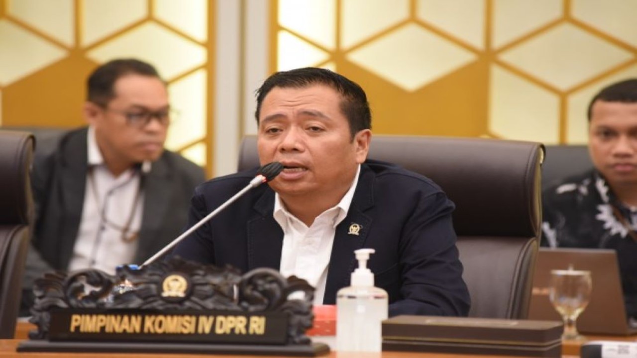 Ketua Komisi V DPR RI Lasarus. Foto: Arief/nr