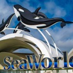 Sea World-1700906184