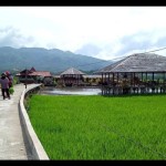 Solok-1700733942