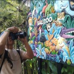 Bali ZOO-1703600700