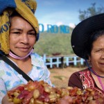 Bupati ajak calon wisatawan menikmati liburan Natal di Labuan Bajo-1702277040