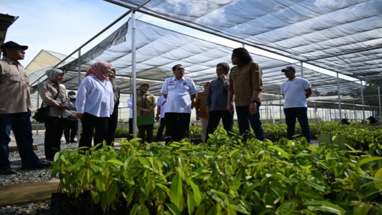 Anggota Komisi IV DPR RI, Firman Soebagyo saat mengikuti Kunjungan Kerja Reses saat meninjau langsung Persemaian Mentawir yang berlokasi di Kecaatan Sepaku, Kabupaten Penajam Paser Utara, Kalimantan Timur, Rabu (13/12/2023). Foto: Ucha/nr