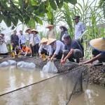 Para narapidana dan tahanan di Lapas KUala Tungkal sedang mempraktikkan budi daya ikan. (ANTARA/HO-Dea)-1702015280