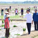 Presiden Jokowi janji tambah subsidi pupuk untuk petani-1702458794