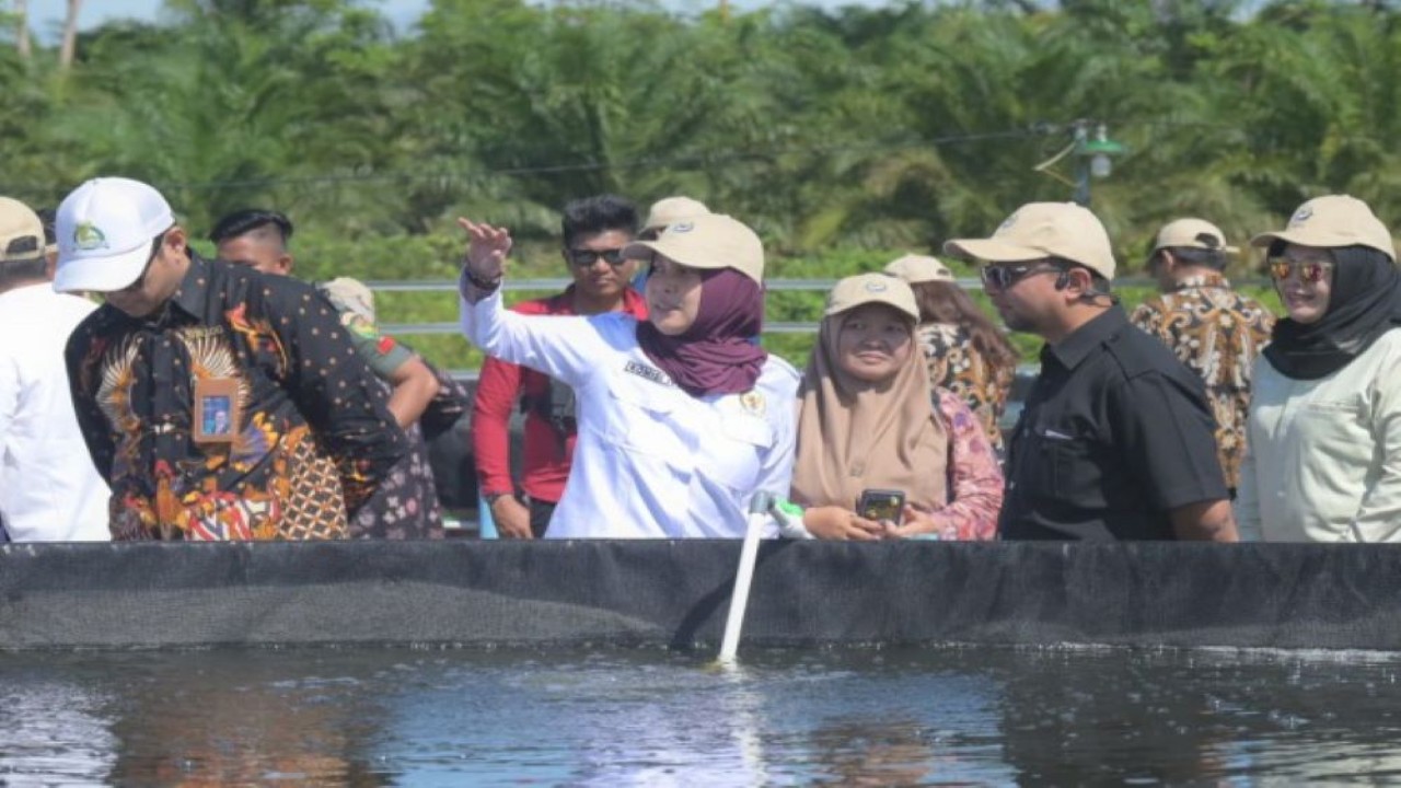 Anggota Komisi IV DPR RI Riezky Aprilia saat melakukan peninjauan lapangan bersama Tim Kunjungan Kerja (Kunker) Reses Komisi IV DPR ke Broodstock Center Musi Rawas di Desa Babat, Kec. Suku Tengah Lakitan, Kab. Musirawas, Sumatera Selatan, Kamis (7/12/2023). Foto: Rizki/nr