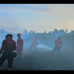 Salah satu lahan gambut yang terbakar di Kota Bengkulu kemarin (18/12). ANTARA/Anggi Mayasari-1702962381