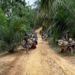 Aksi ilegal drilling di Kabupaten Batanghari, Jambi.(ANTARA/HO-Nanang Mariadi)-1706005640