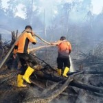 BMKG deteksi 77 titik panas di Kalimantan Timur-1706518117